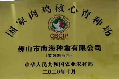 1652337269153251.jpg
