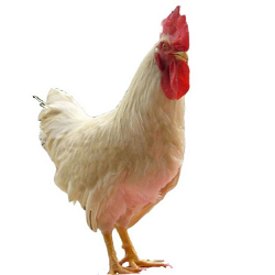 1656495280429536.png 图片11.png