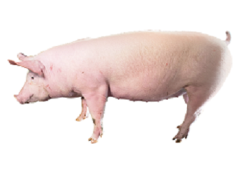 1656495439748902.png 图片14.png