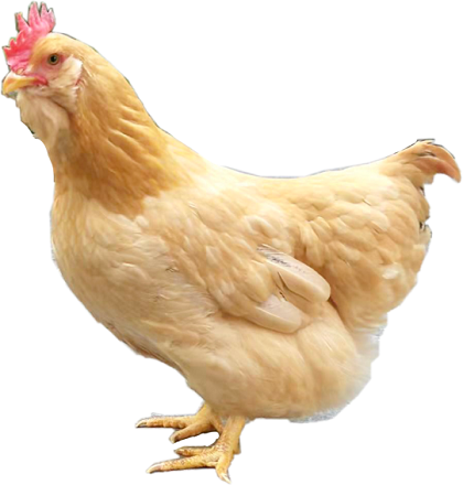 1659943199676253.png 1659943199676253.png