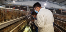 南海种禽开展研究生实践调研活动，推进产学研深度融合
