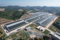 广弘农牧下属兴宁农牧荣获“2024年广东省畜禽养殖标准化示范场”称号